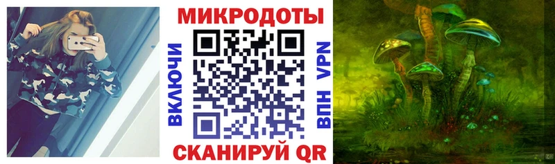 закладки  Полярный  Псилоцибиновые грибы мицелий 